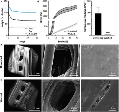 3D Printed Polyurethane Scaffolds for the Repair of Bone Defects